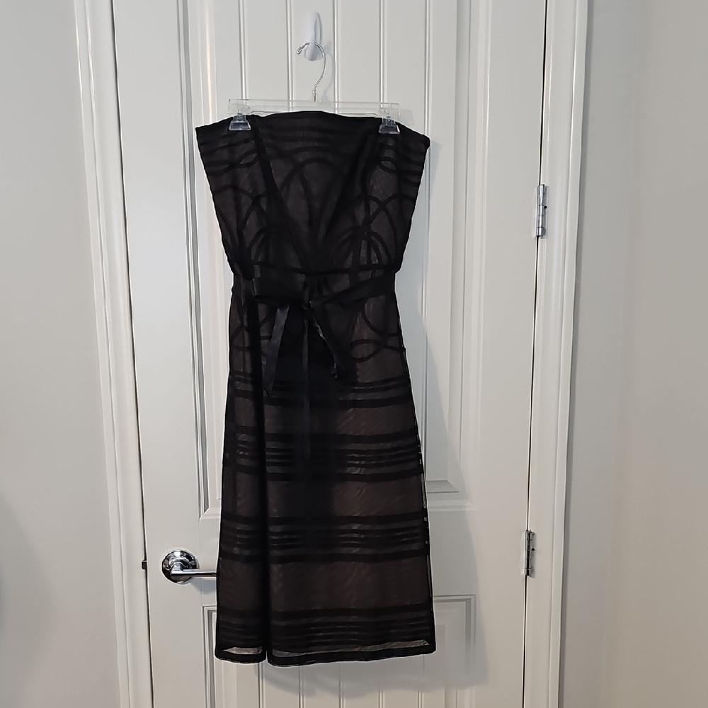 Loft Elegant Black Sheer Dress